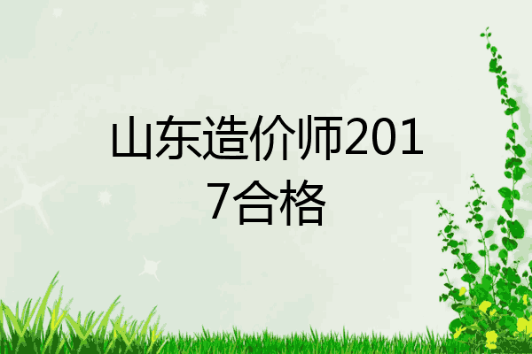 山东造价师2017合格