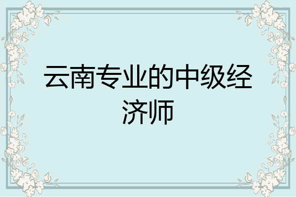 云南专业的中级经济师