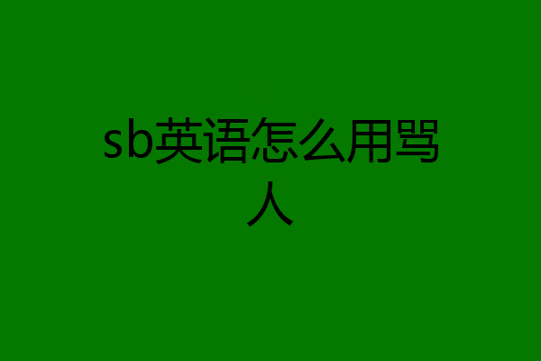 sb英语怎么用骂人