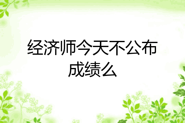 经济师今天不公布成绩么