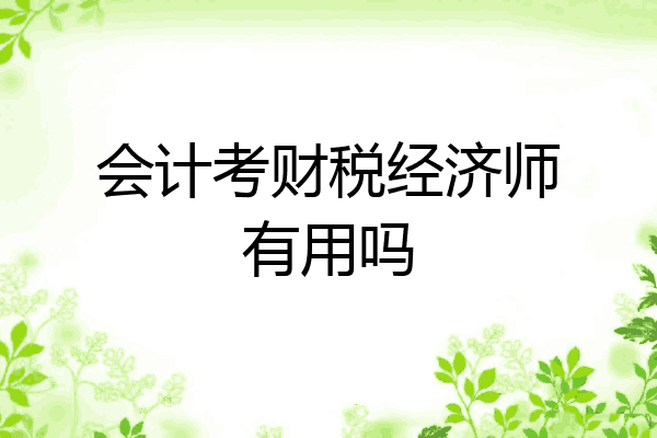 会计考财税经济师有用吗