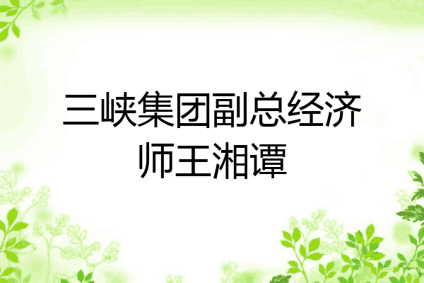 三峡集团副总经济师王湘谭