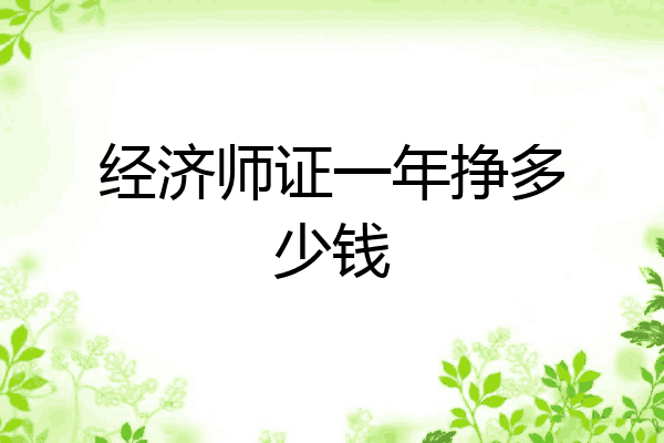 经济师证一年挣多少钱