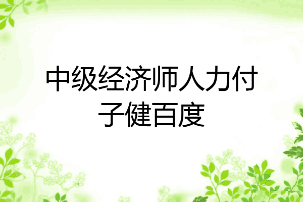 中级经济师人力付子健百度