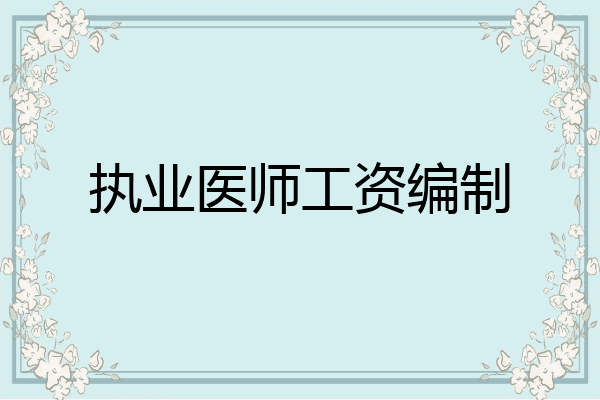 执业医师工资编制
