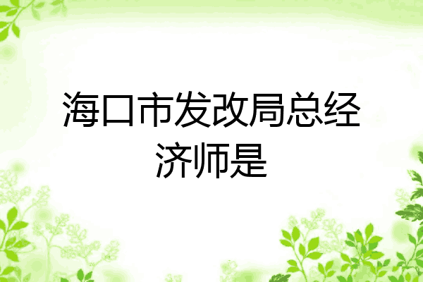 海口市发改局总经济师是