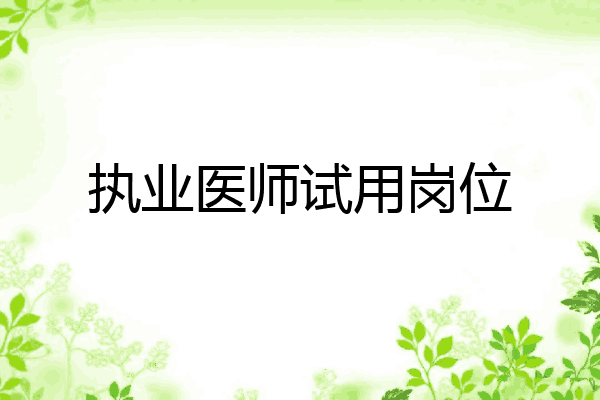 执业医师试用岗位