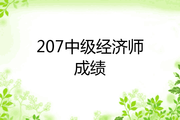 207中级经济师成绩