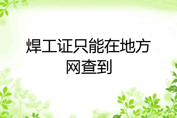 焊工证只能在地方网查到