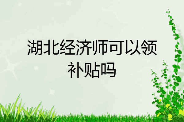 湖北经济师可以领补贴吗