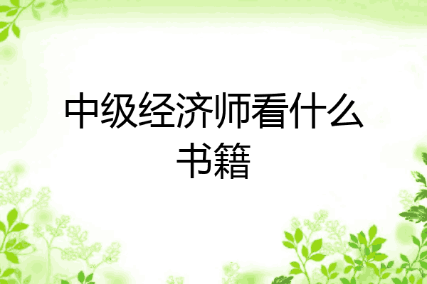 中级经济师看什么书籍