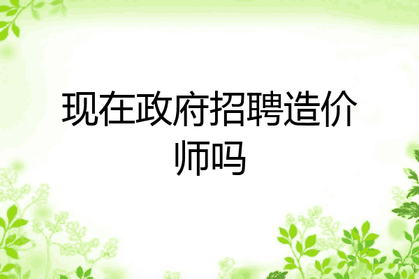 现在政府招聘造价师吗