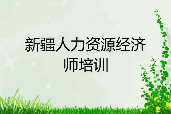 新疆人力资源经济师培训