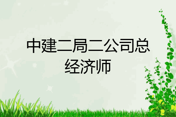 中建二局二公司总经济师