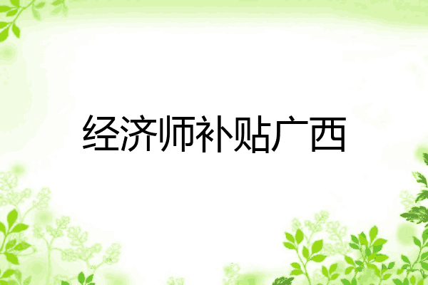 经济师补贴广西