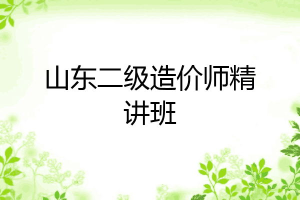 山东二级造价师精讲班