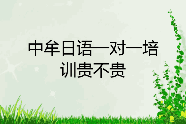 中牟日语一对一培训贵不贵