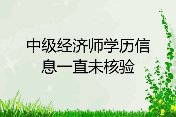 中级经济师学历信息一直未核验