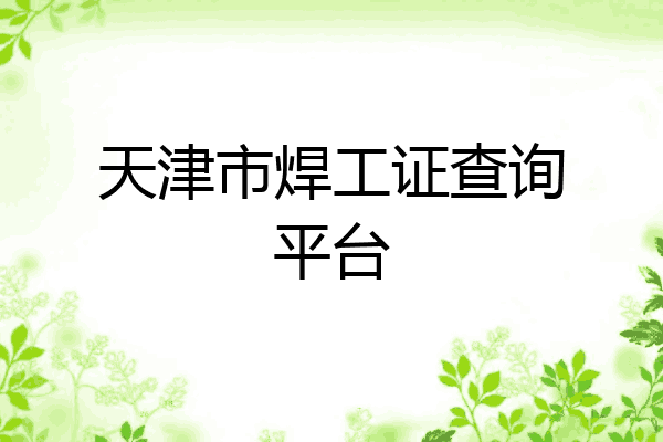 天津市焊工证查询平台