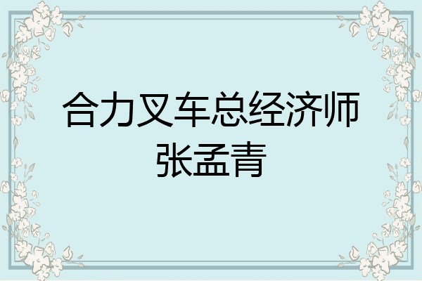 合力叉车总经济师张孟青