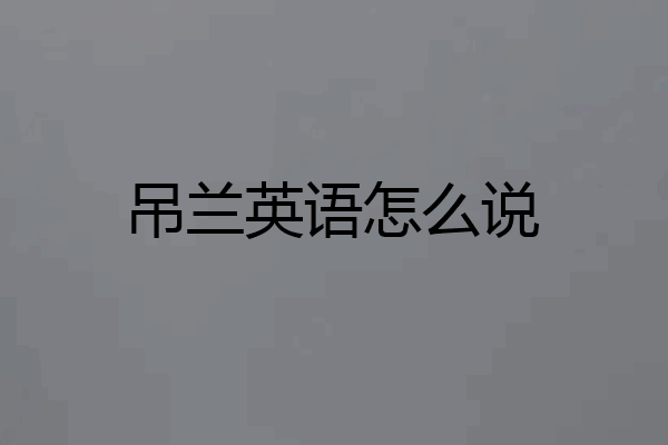 吊兰英语怎么说