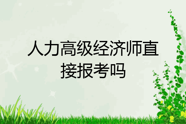 人力高级经济师直接报考吗