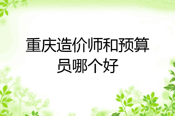 重庆造价师和预算员哪个好