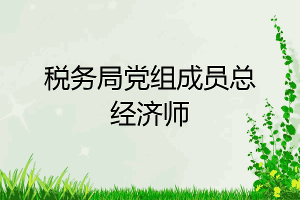 税务局党组成员总经济师