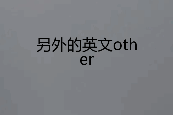 另外的英文other