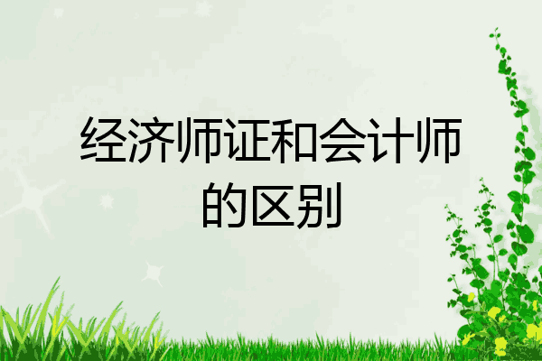 经济师证和会计师的区别