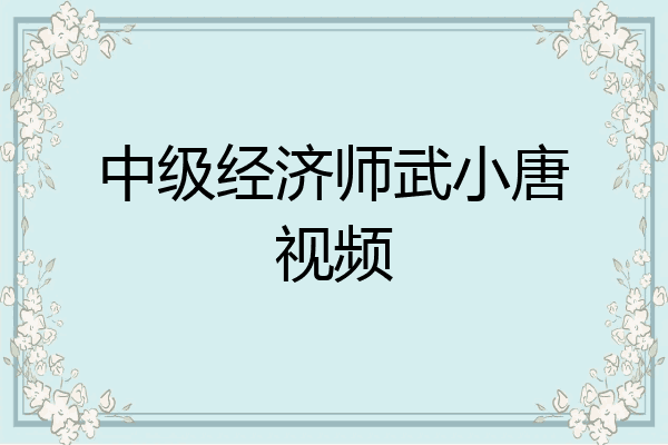 中级经济师武小唐视频