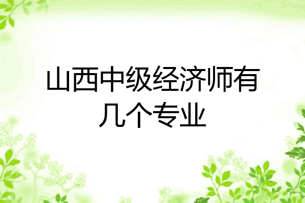 山西中级经济师有几个专业
