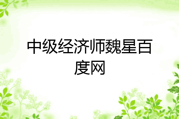 中级经济师魏星百度网