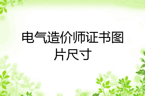 电气造价师证书图片尺寸