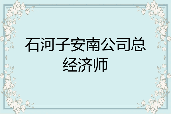 石河子安南公司总经济师