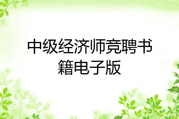 中级经济师竞聘书籍电子版