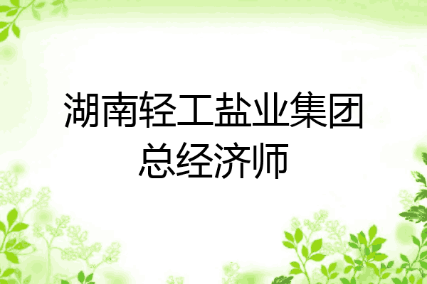 湖南轻工盐业集团总经济师