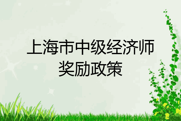 上海市中级经济师奖励政策