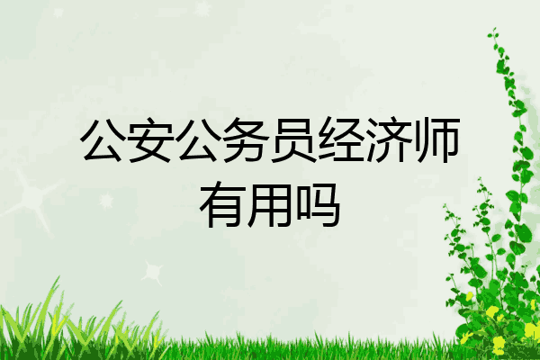 公安公务员经济师有用吗