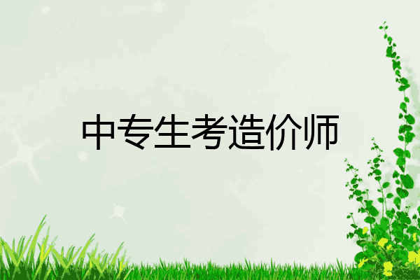 中专生考造价师