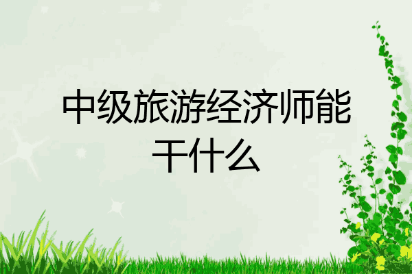 中级旅游经济师能干什么