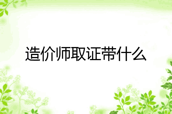 造价师取证带什么