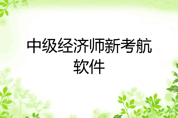 中级经济师新考航软件
