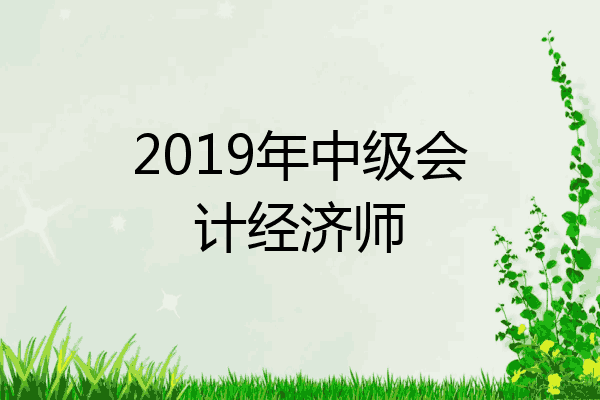 2019年中级会计经济师