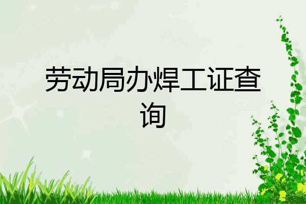 劳动局办焊工证查询