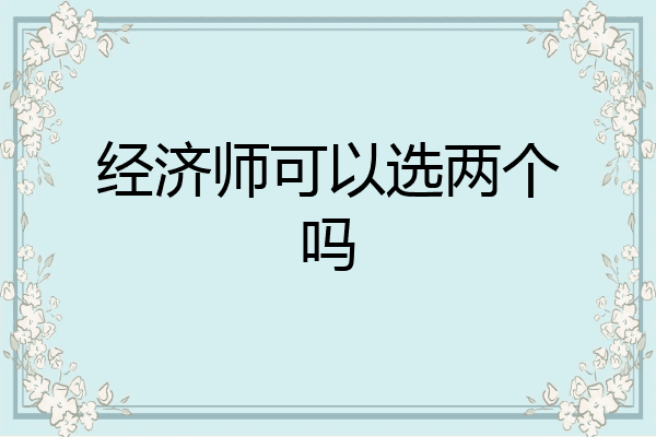 经济师可以选两个吗