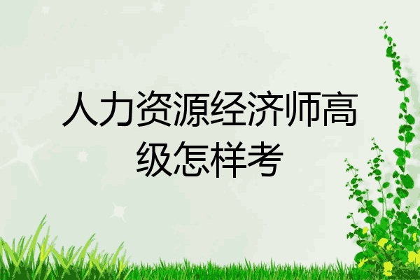 人力资源经济师高级怎样考