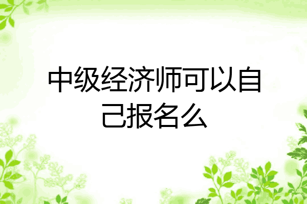 中级经济师可以自己报名么