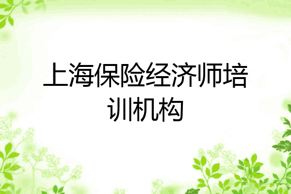 上海保险经济师培训机构
