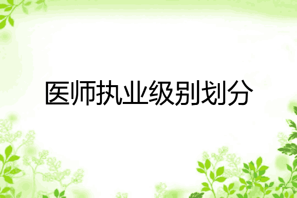 医师执业级别划分